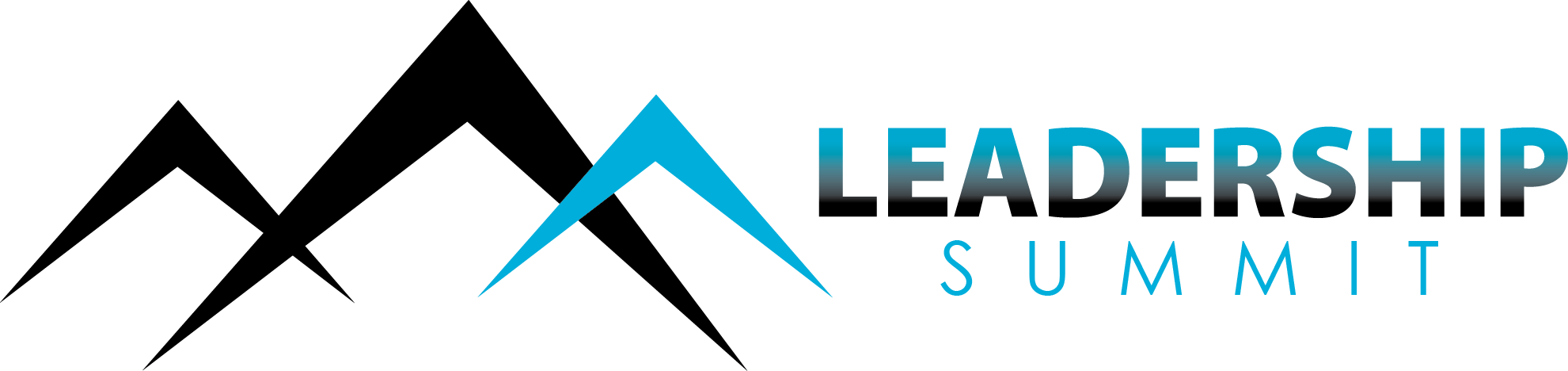 leadership summit